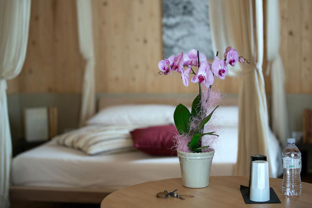 Il Geco In Arena Hotell Verona Rom bilde